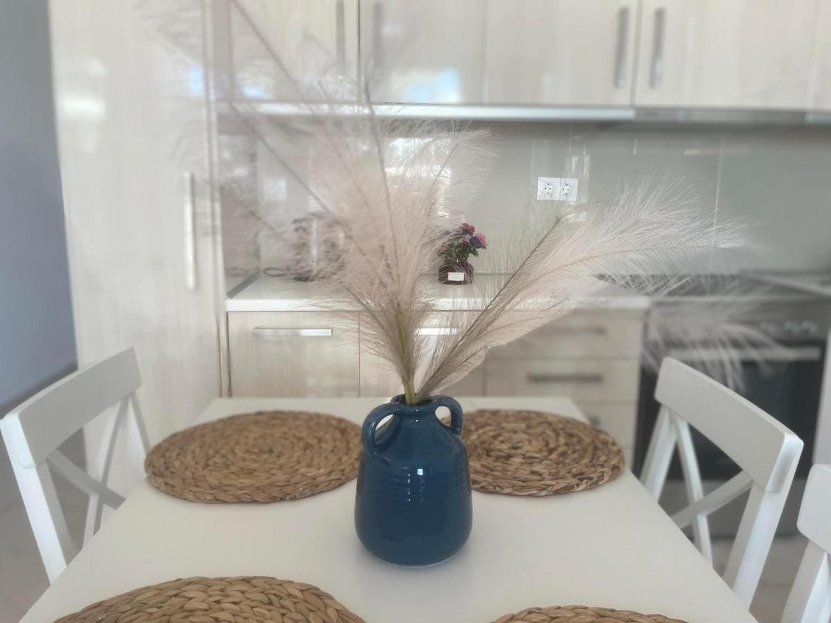Apartament Nesea